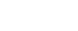 Brain Phase